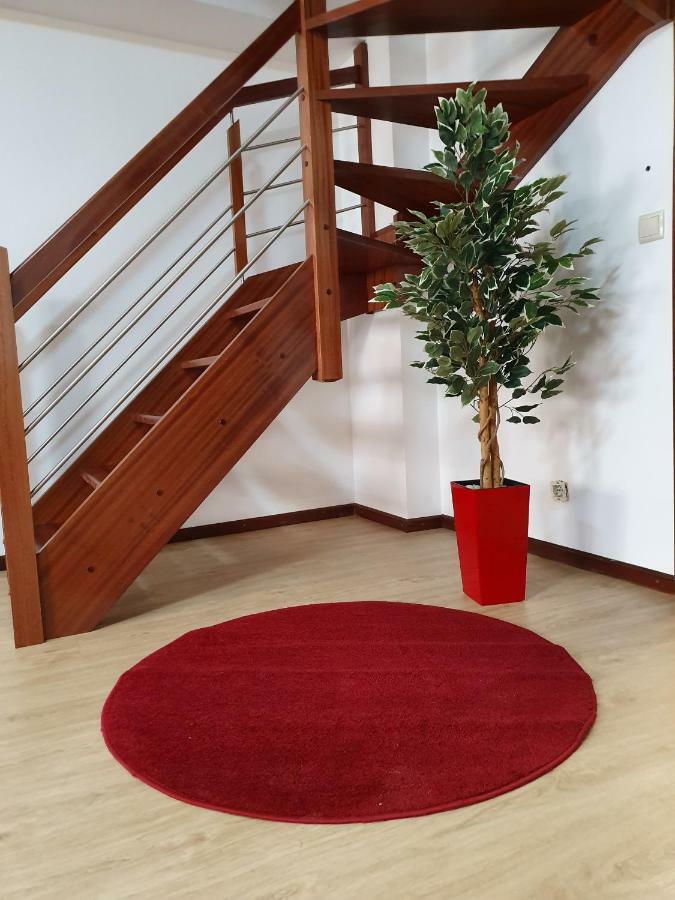 아베이루 Casa Dos Arcos 아파트 외부 사진